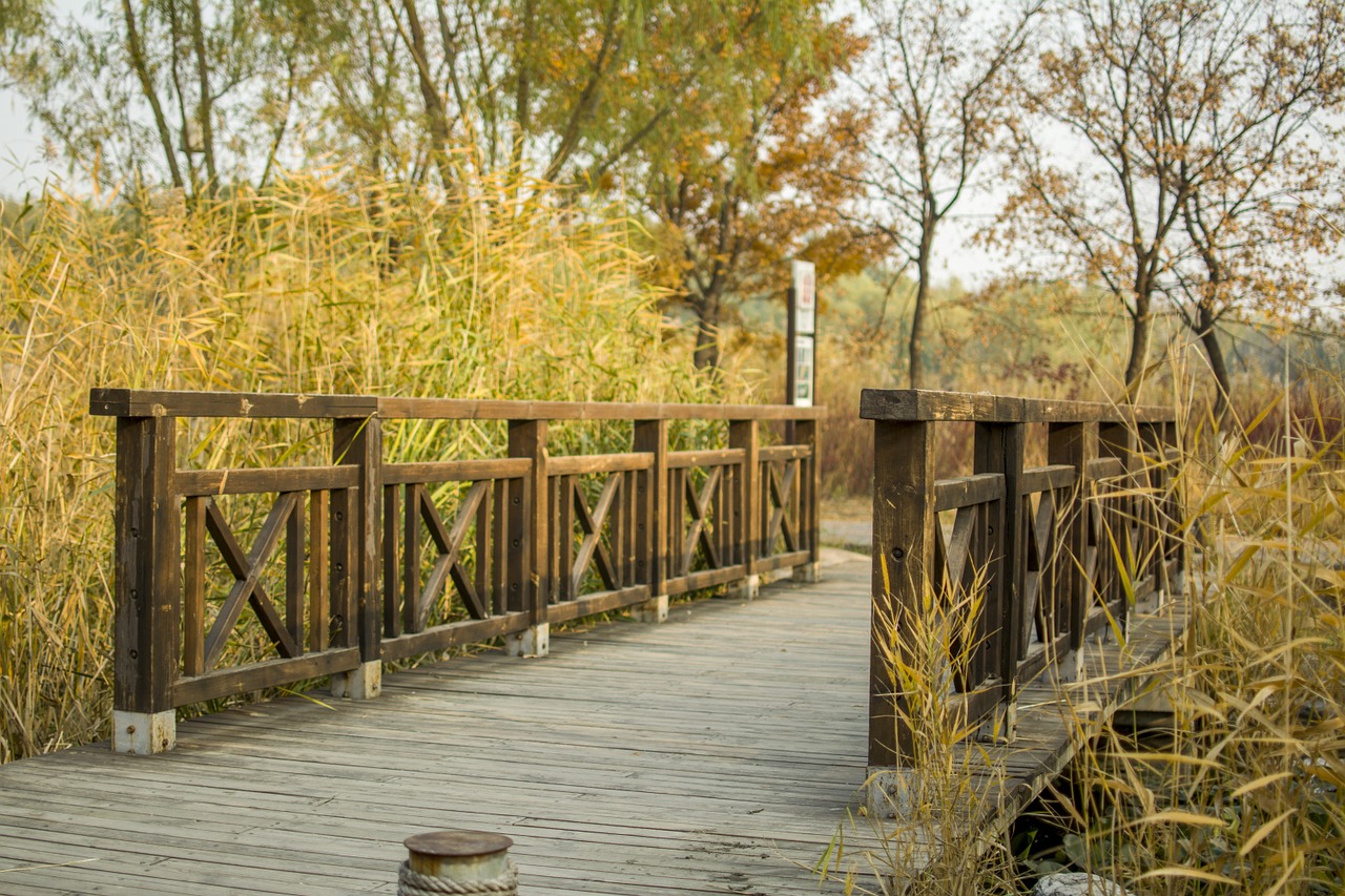 bridge park autumn free photo