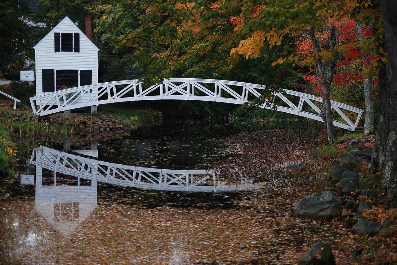 bridge water reflection free photo