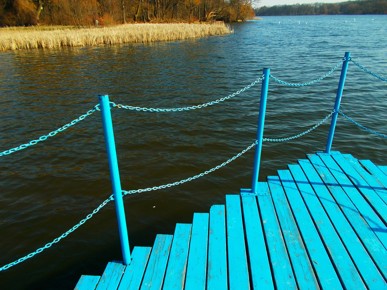 bridge lake pond free photo