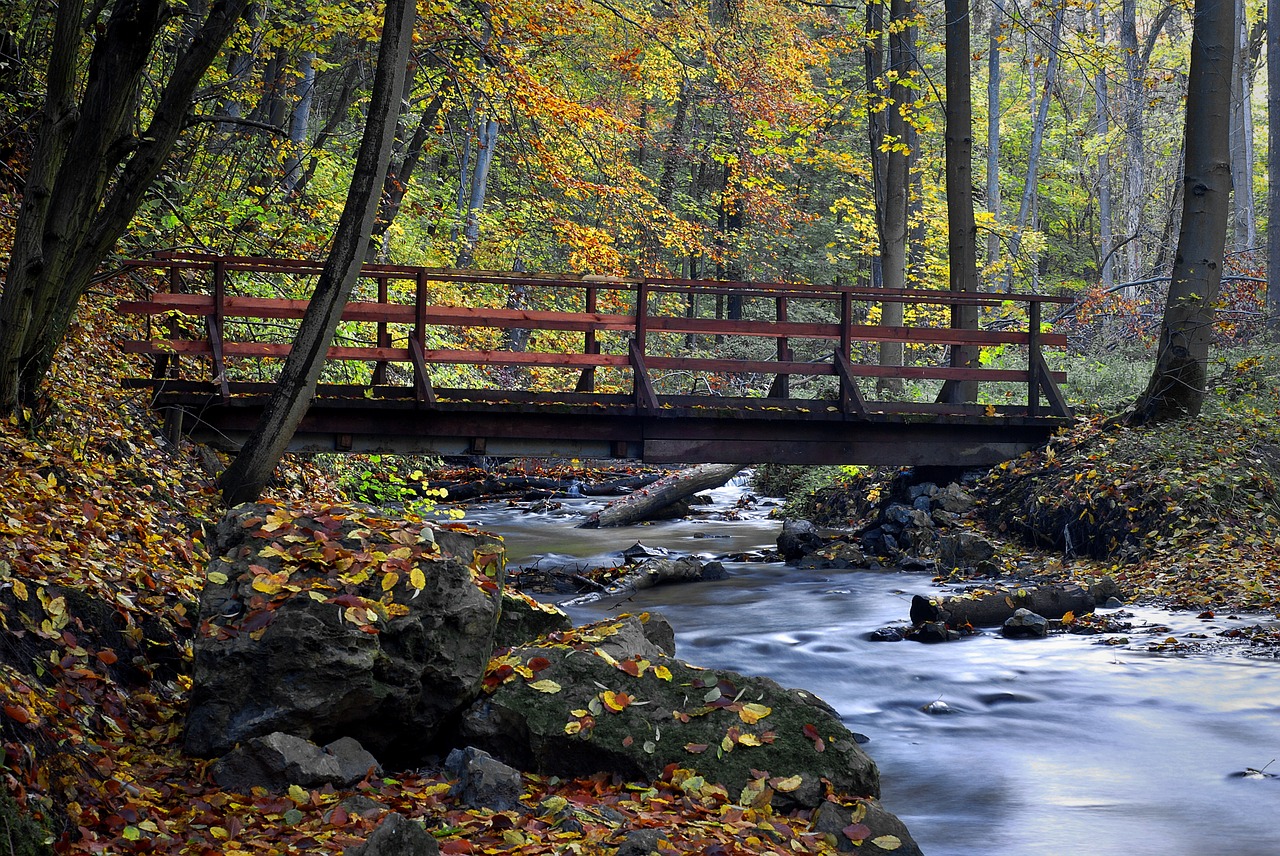 bridge racławka valley river free photo