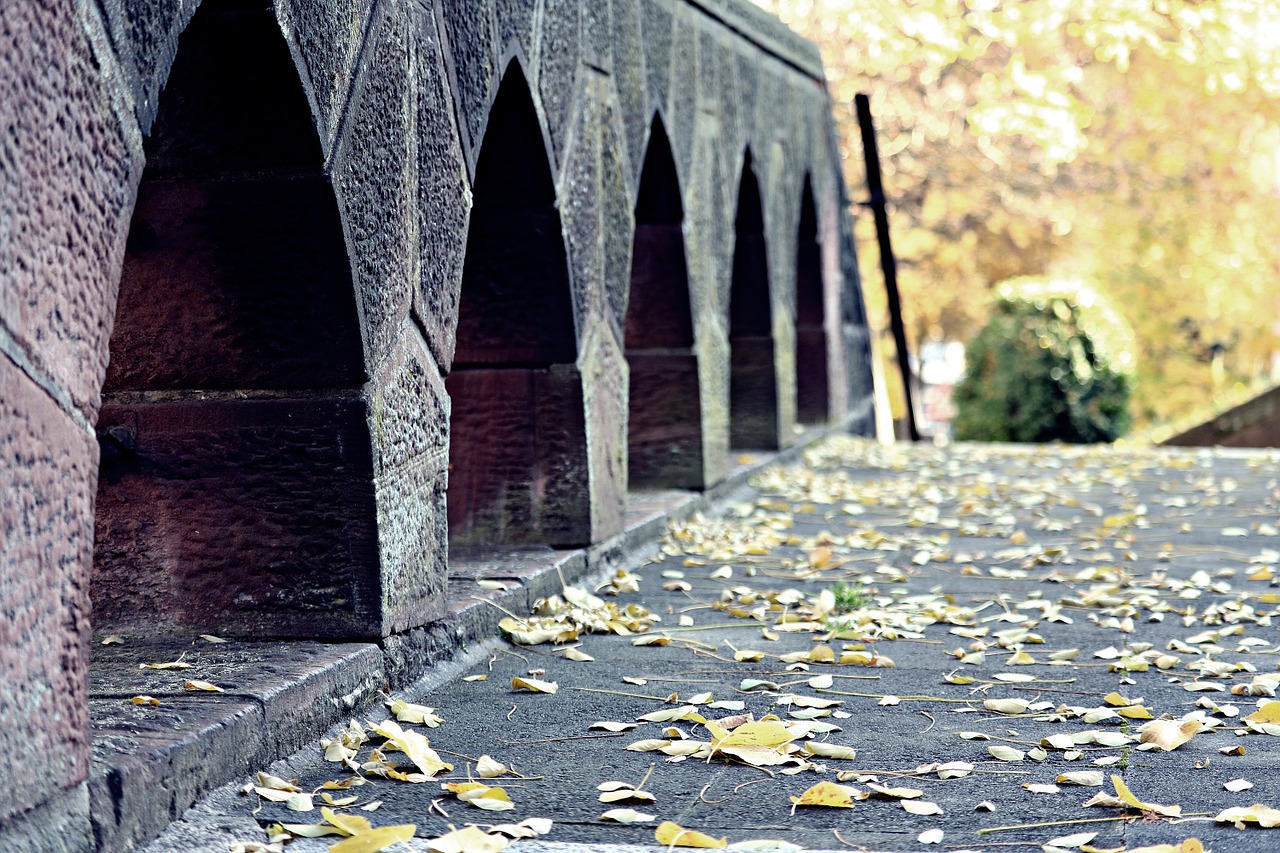 bridge autumn leaves free photo