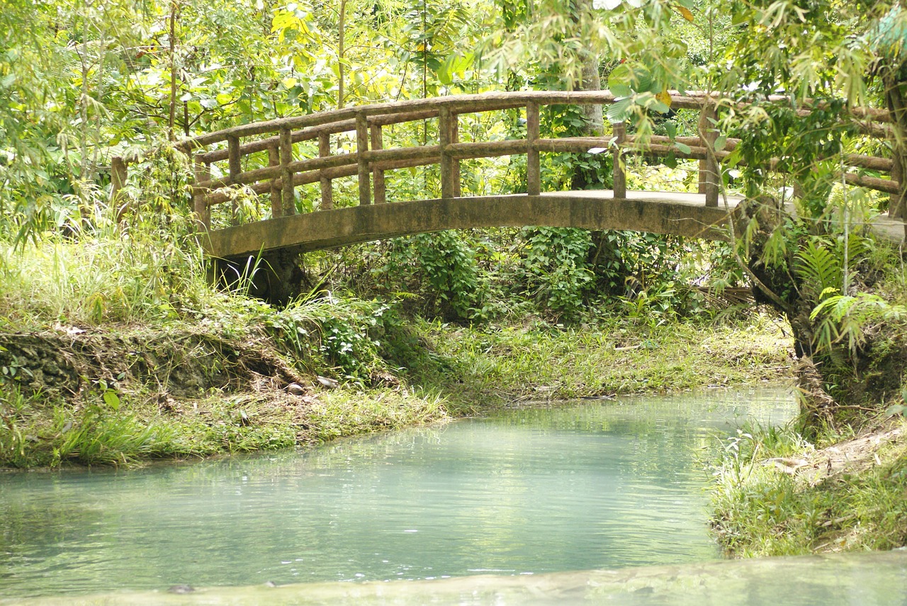 bridge nature serene free photo