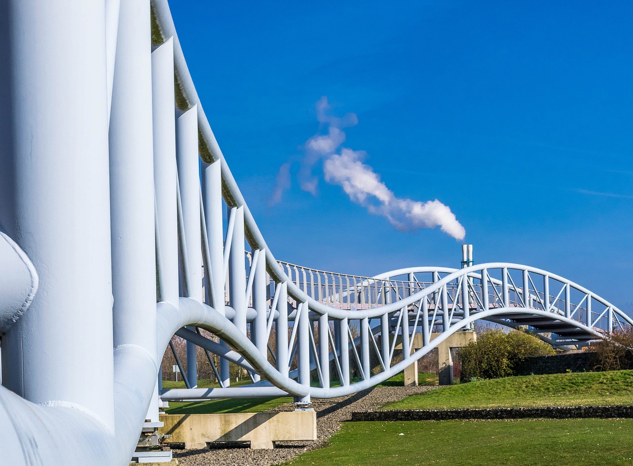 bridge snake curves free photo