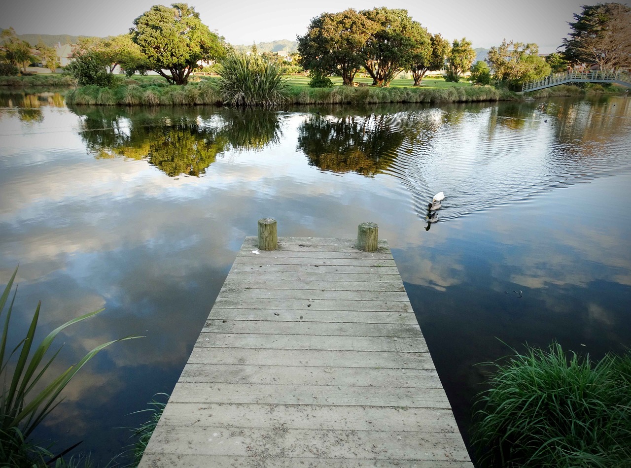 bridge water lake free photo