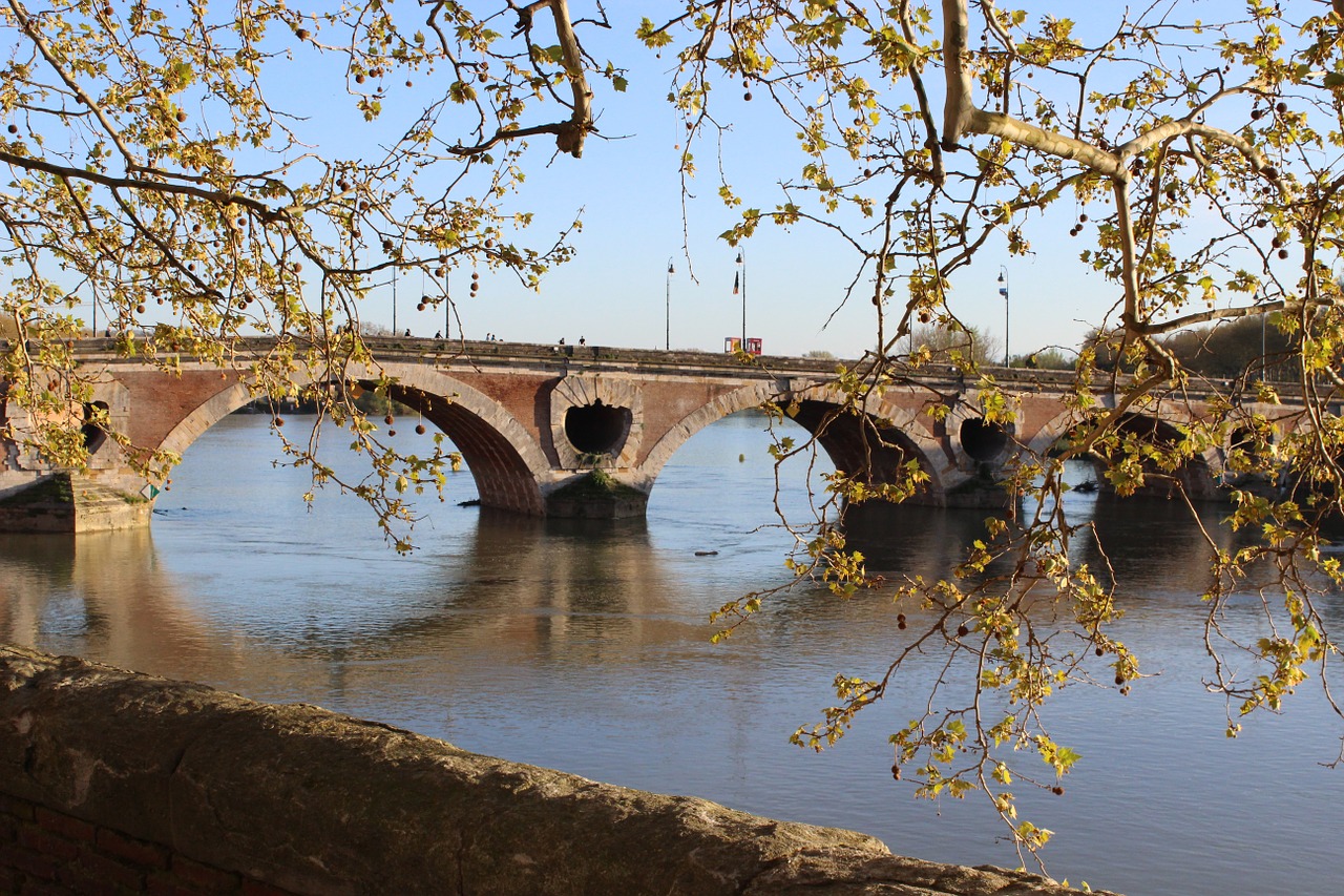 bridge rio france free photo