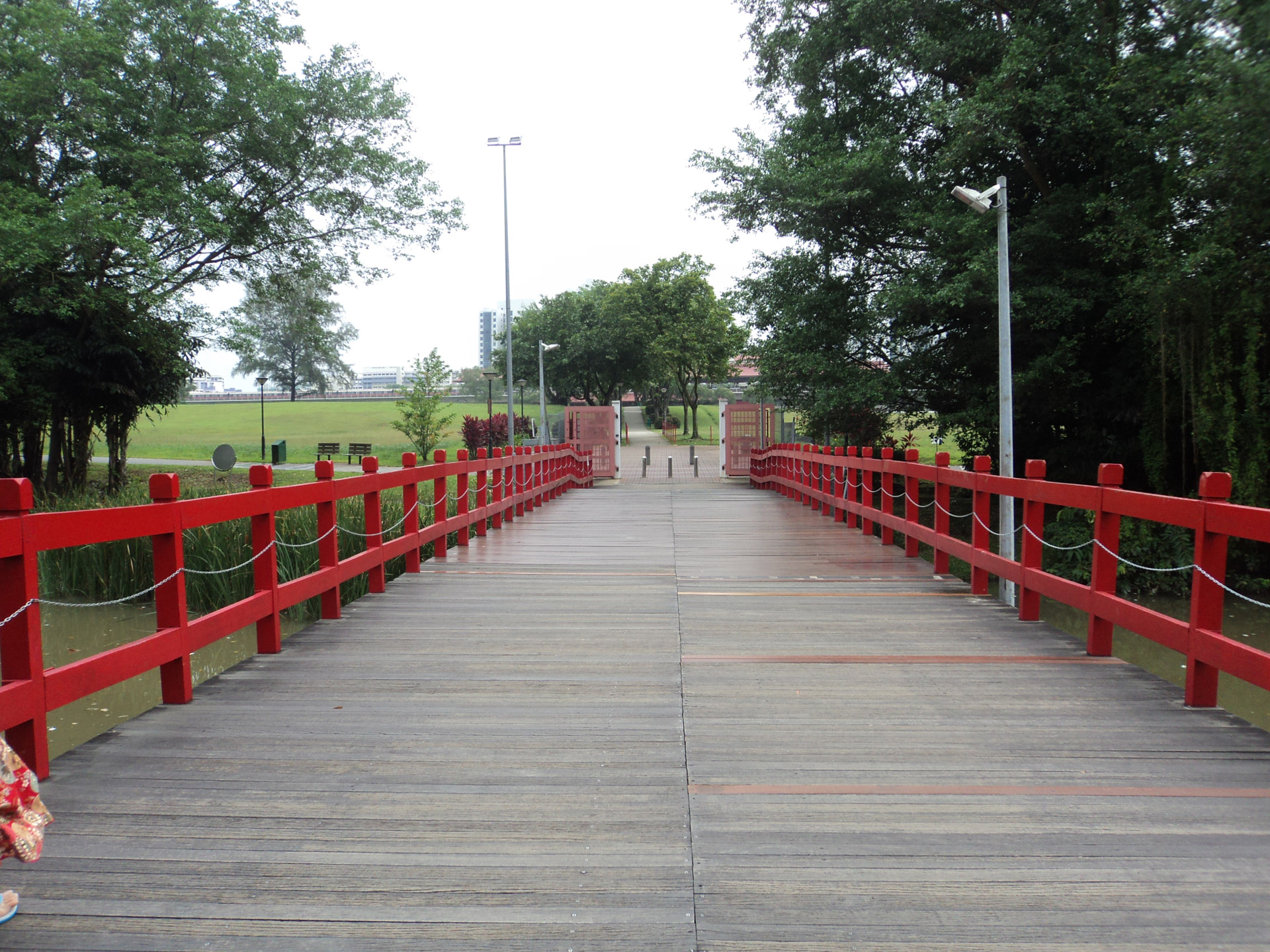 red bridge nature free photo