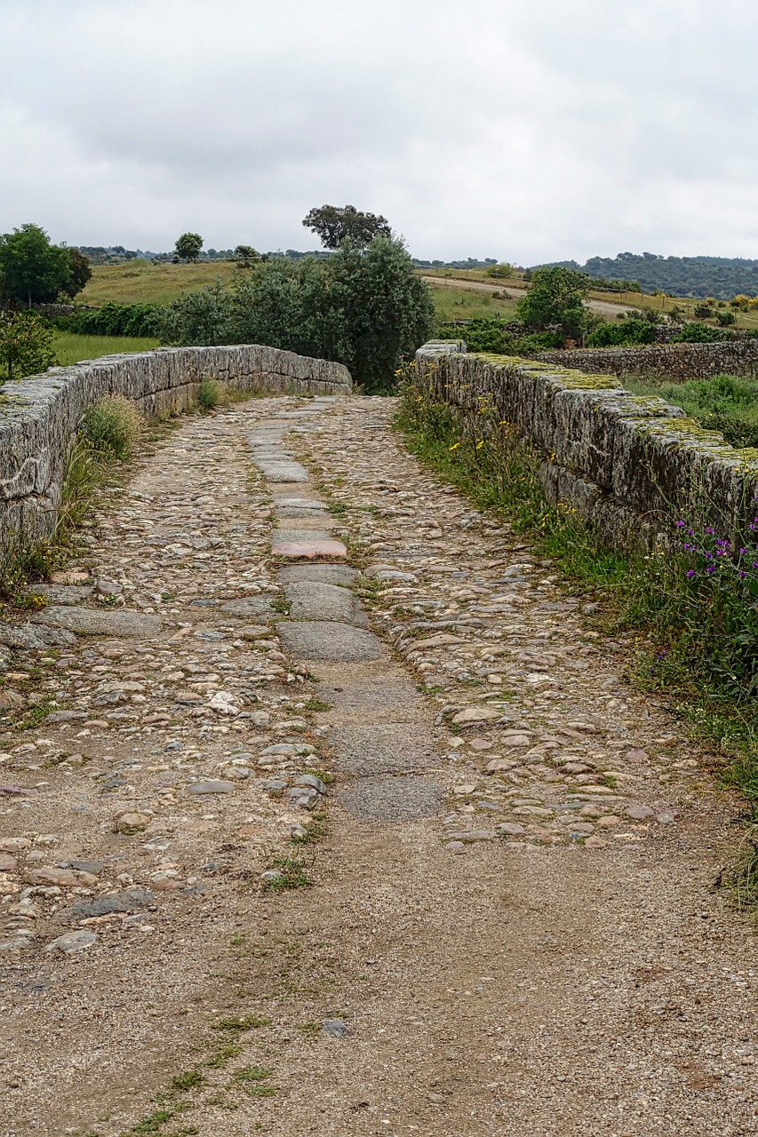 bridge crossing pathway free photo