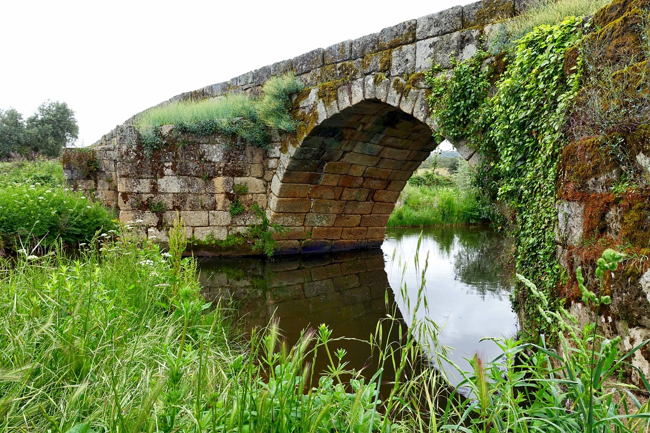 bridge crossing river free photo