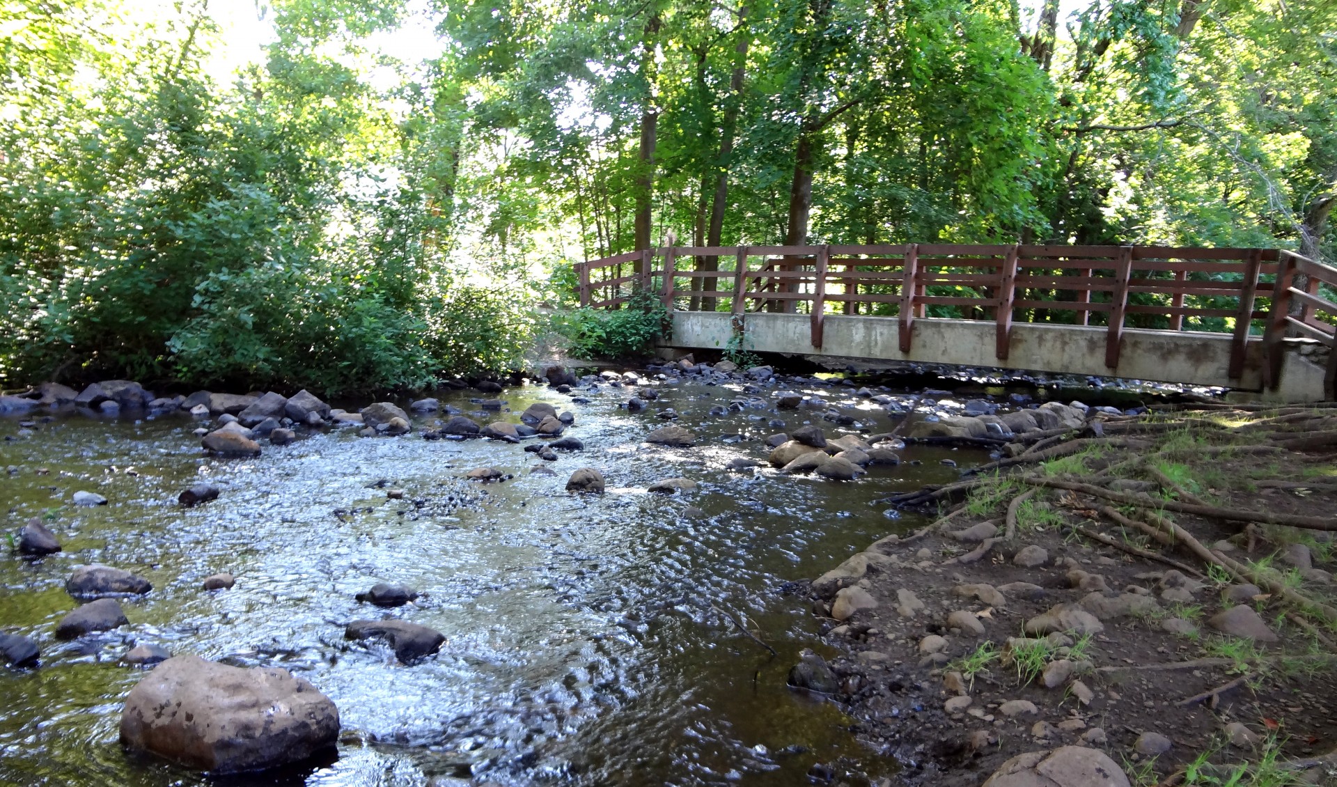 bridge stream brook free photo