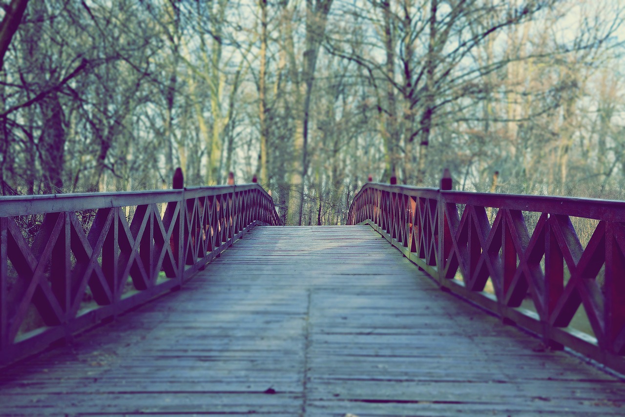 bridge spring architecture free photo