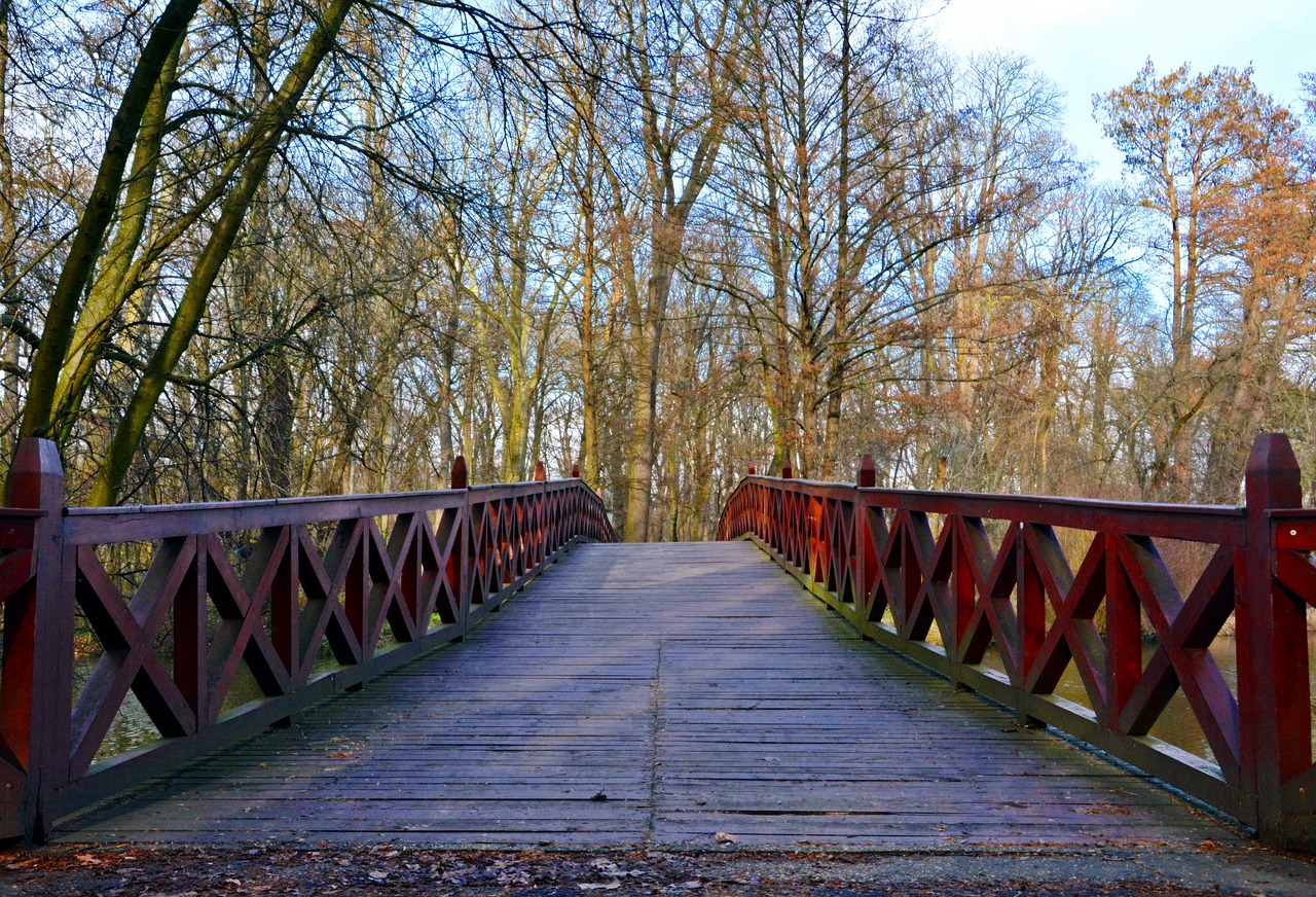 bridge wood nature free photo