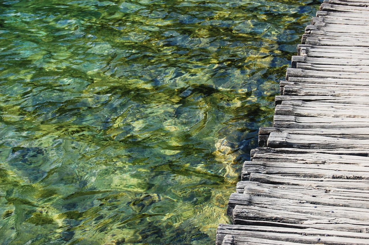 bridge footbridge river free photo