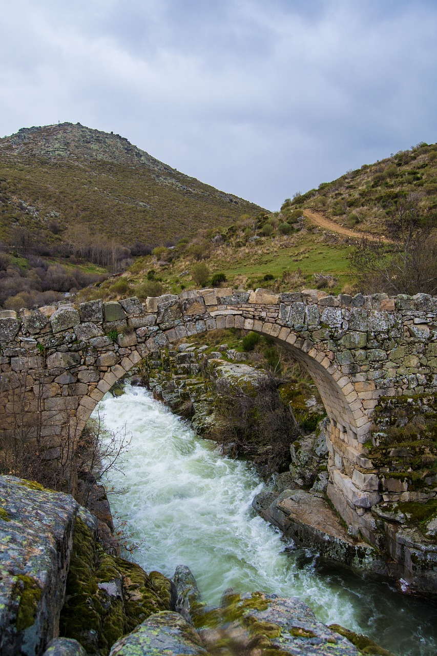 bridge water landscape free photo