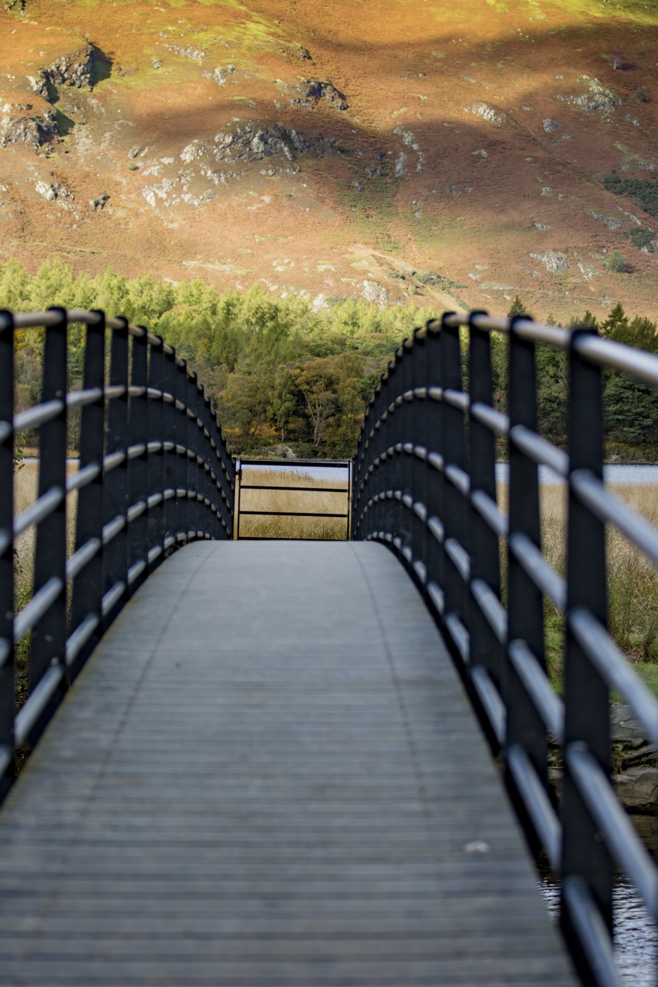 bridge architecture small free photo