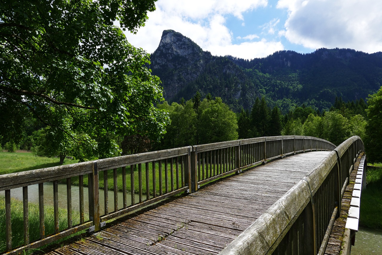 bridge web boardwalk free photo