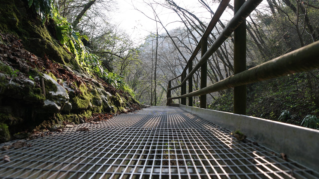 bridge away railing free photo