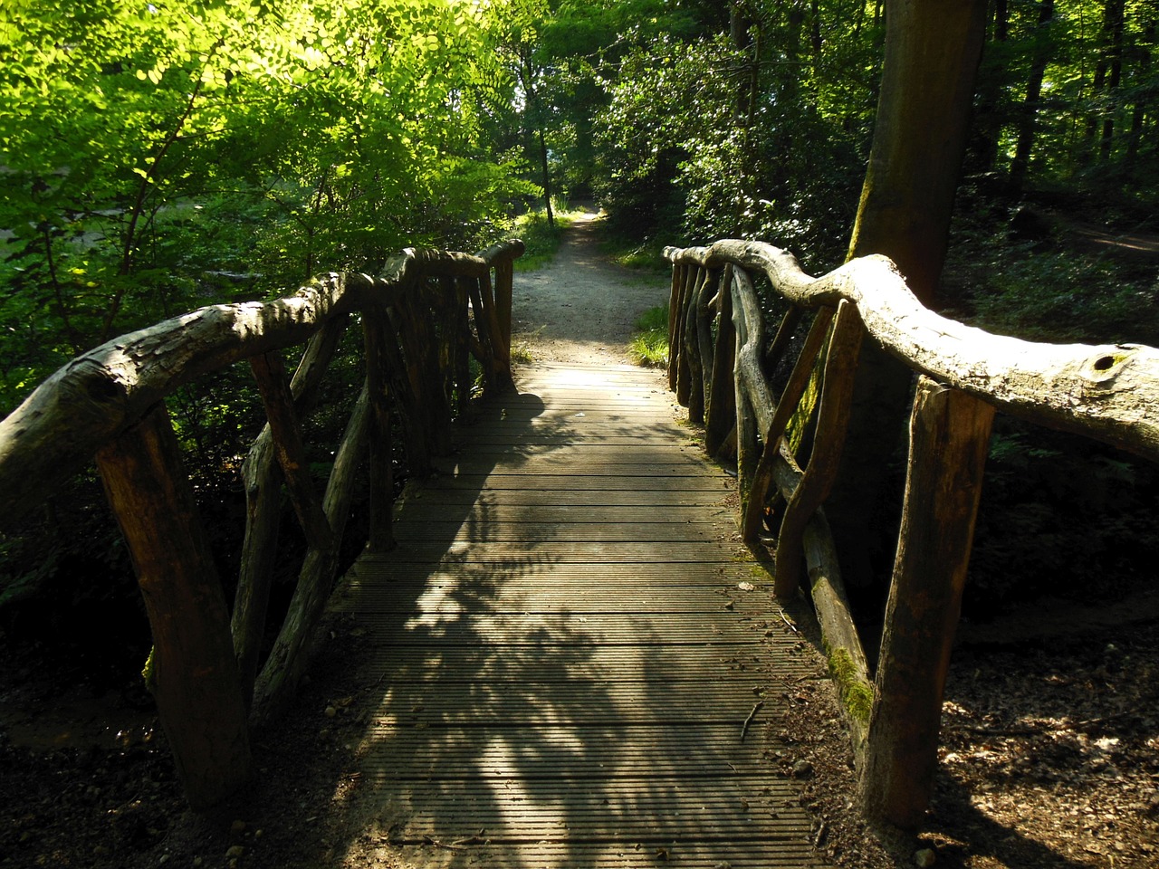 bridge forest landscape free photo