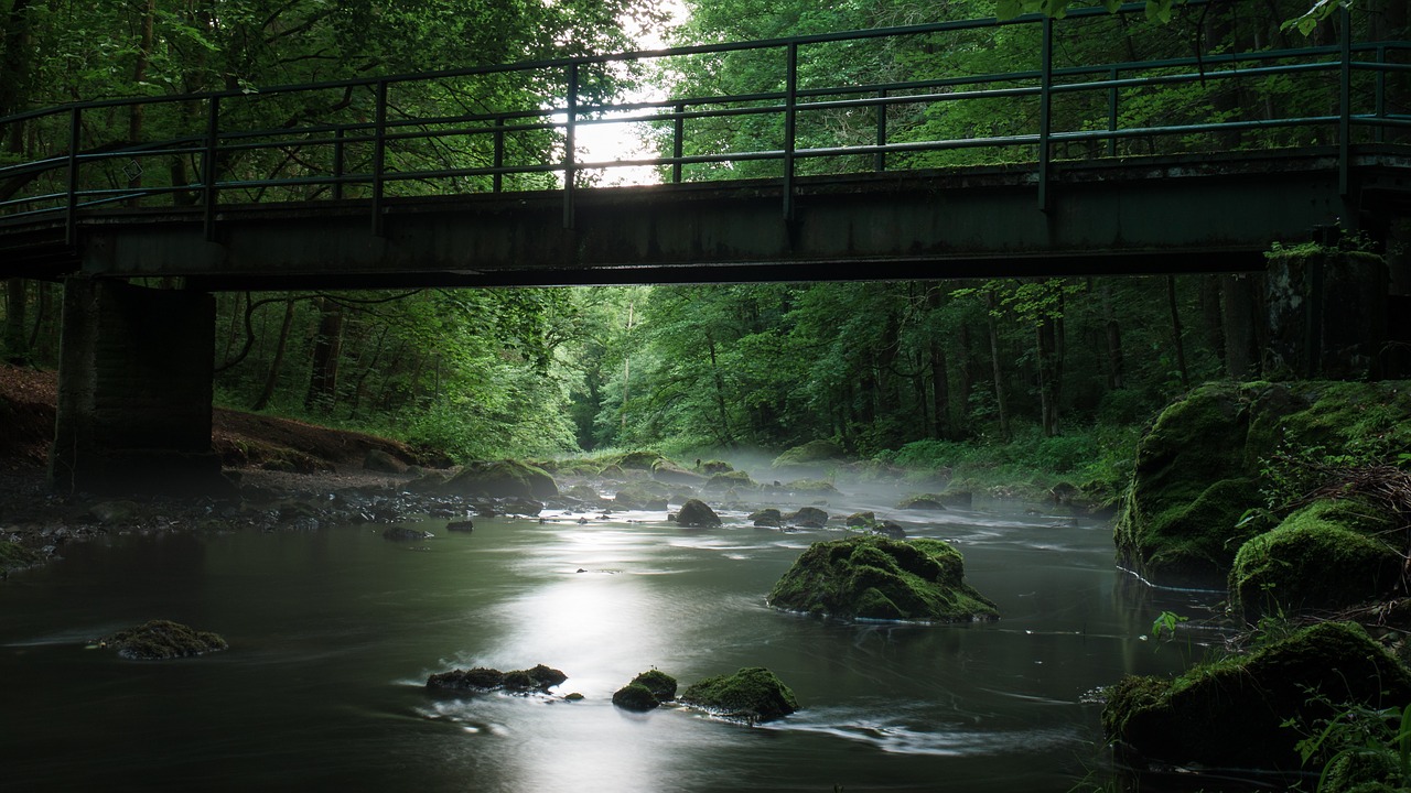 bridge river fog free photo