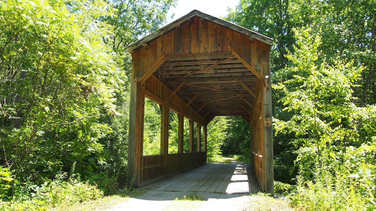 bridge wood forest free photo