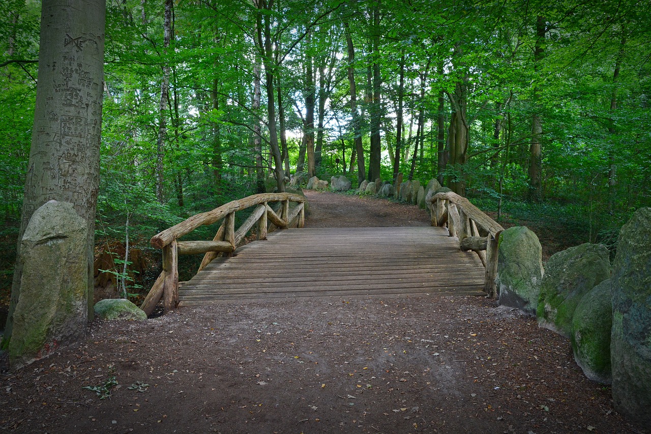 bridge forest forest path free photo