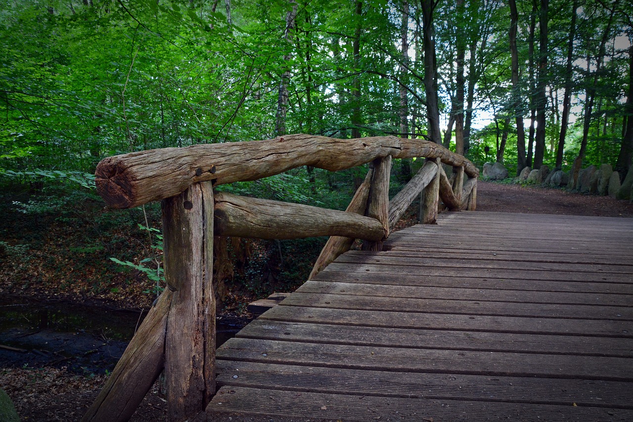 bridge railing forest free photo