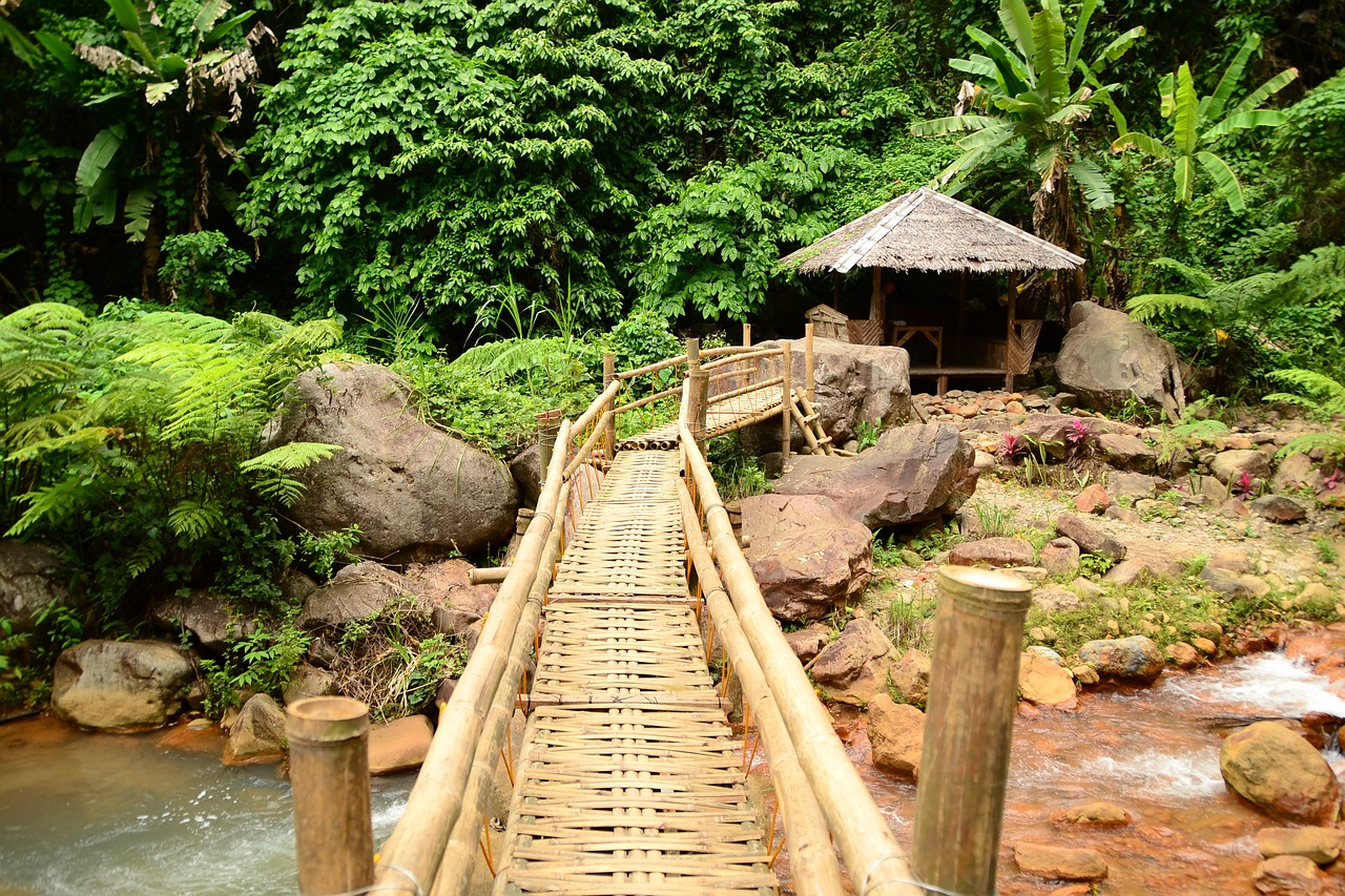bridge bamboo crossing free photo