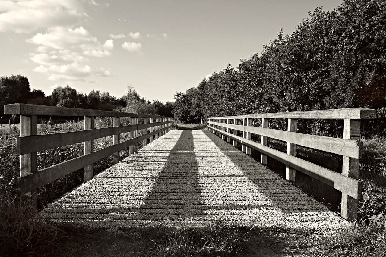 bridge structure crossing free photo