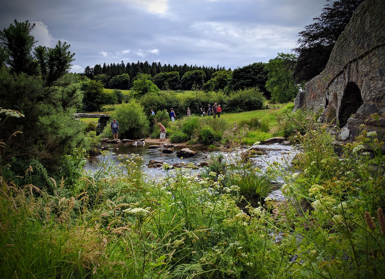 bridge river water free photo