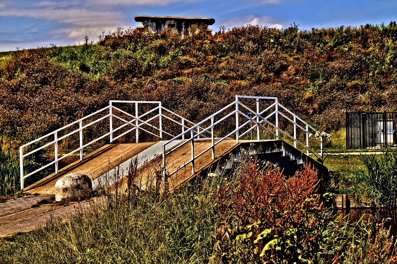 bridge hdr path free photo