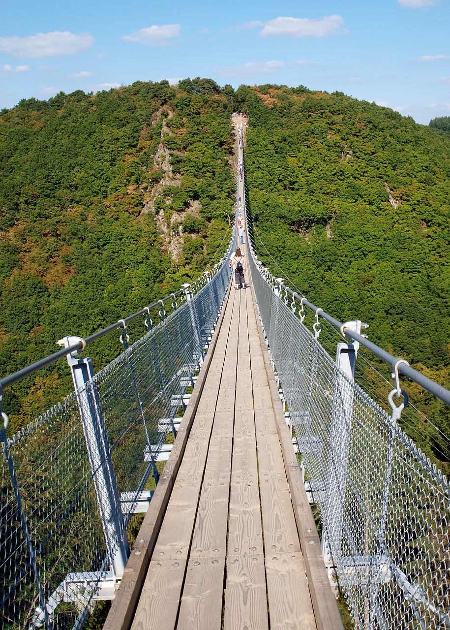 bridge suspension bridge cross free photo