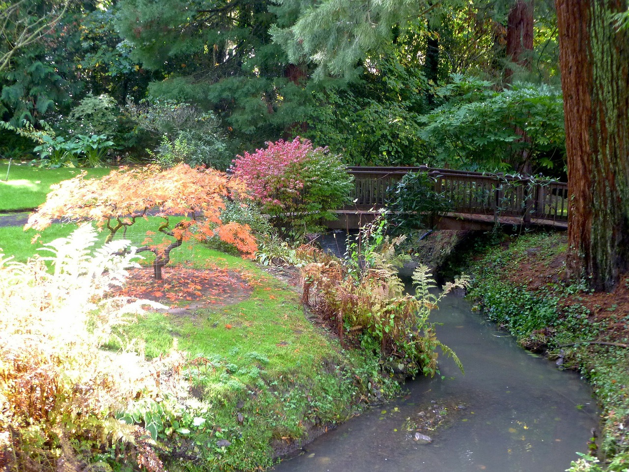 bridge japanese garden river free photo