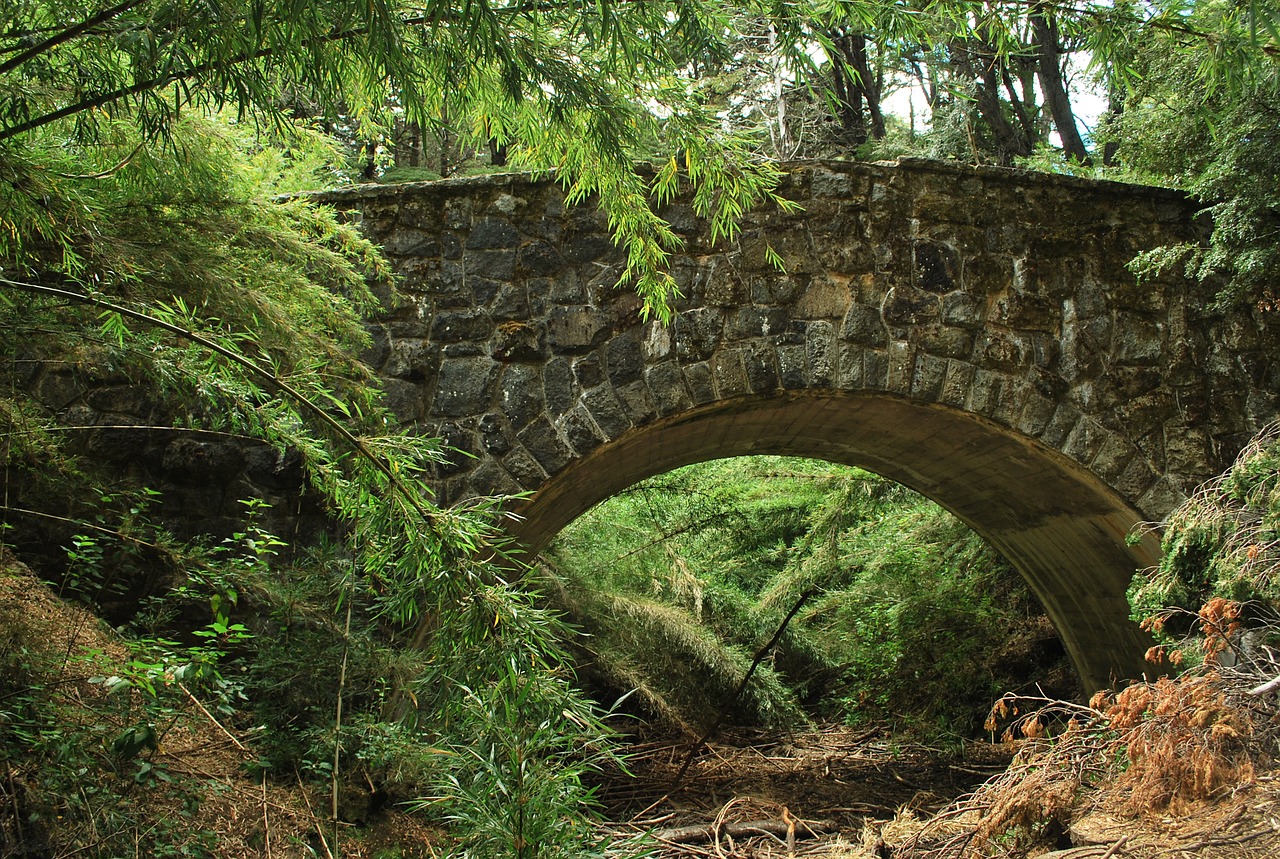 bridge roman forest free photo