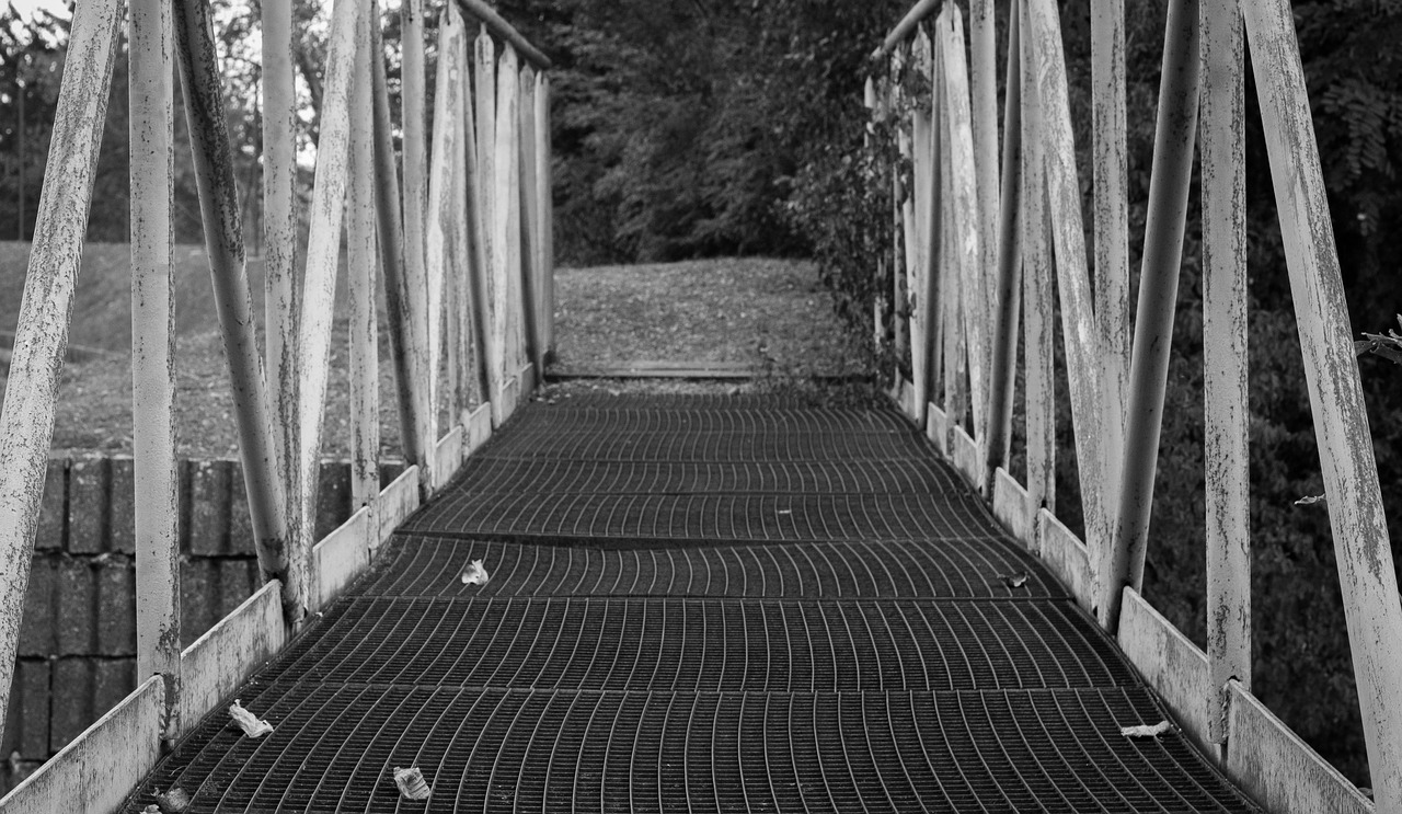 bridge path railing free photo