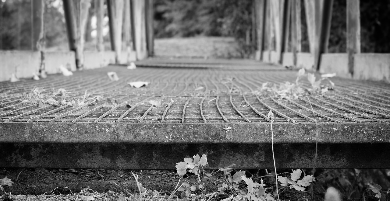 bridge path railing free photo