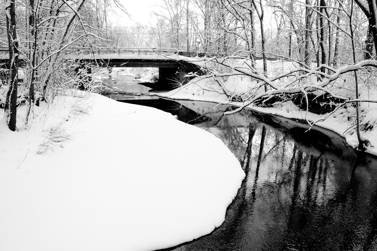 bridge river winter free photo