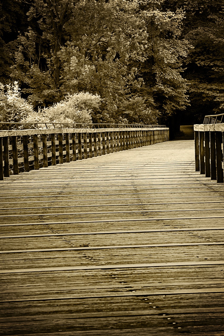 bridge web away free photo