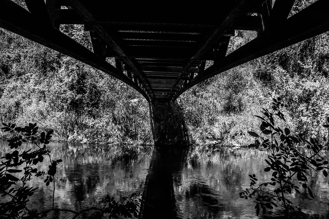 bridge reflection water free photo