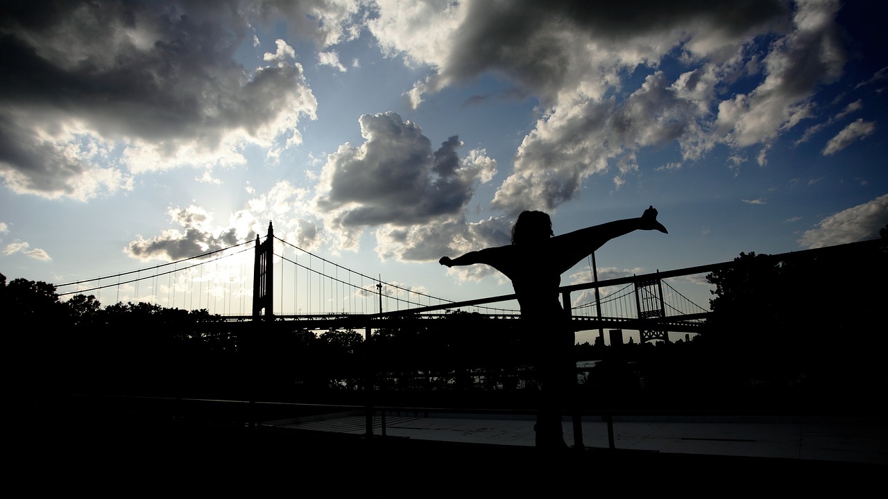 bridge nyc girl free photo