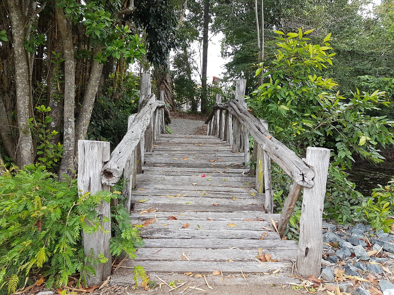 bridge nature country free photo