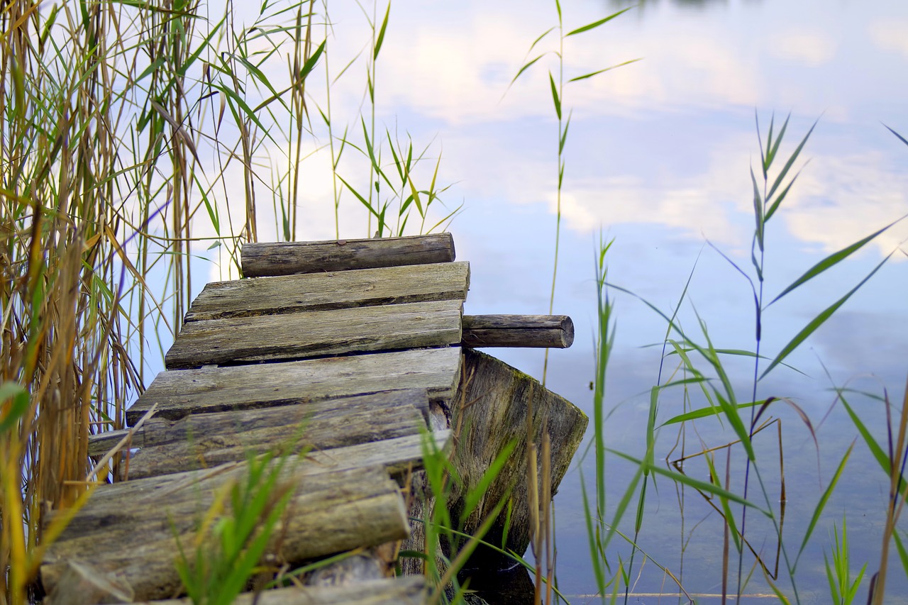 bridge wooden pond free photo