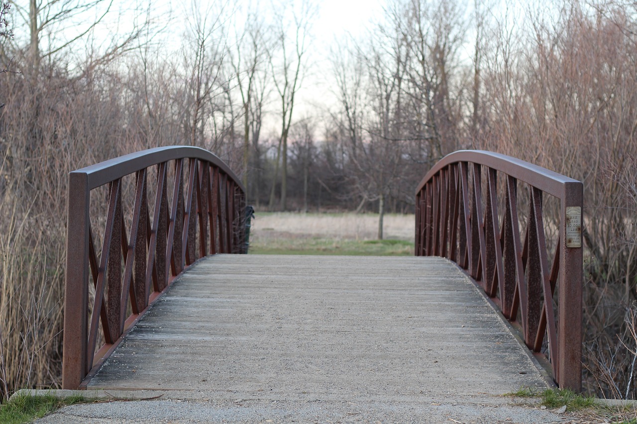 bridge iron architecture free photo