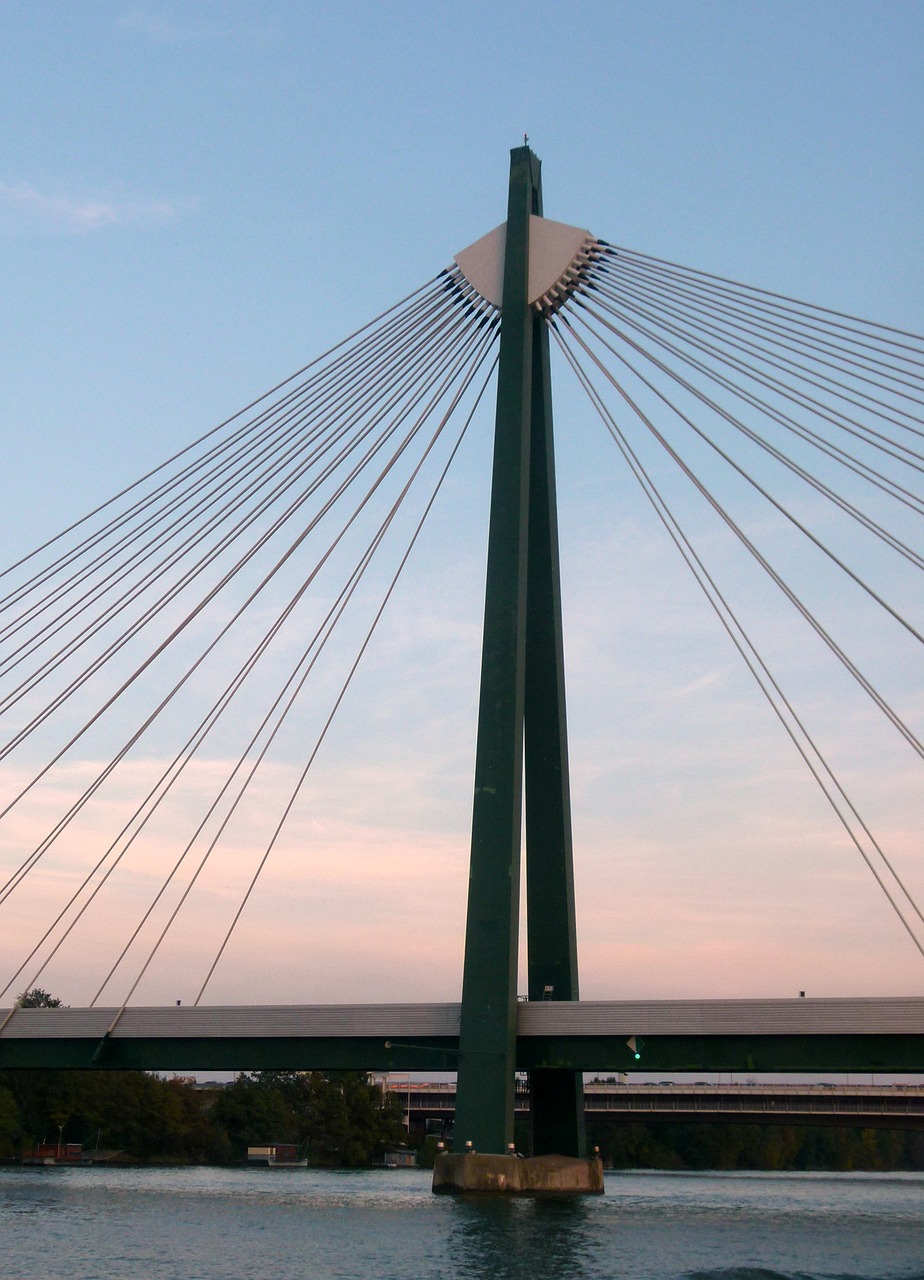 bridge danube vienna free photo