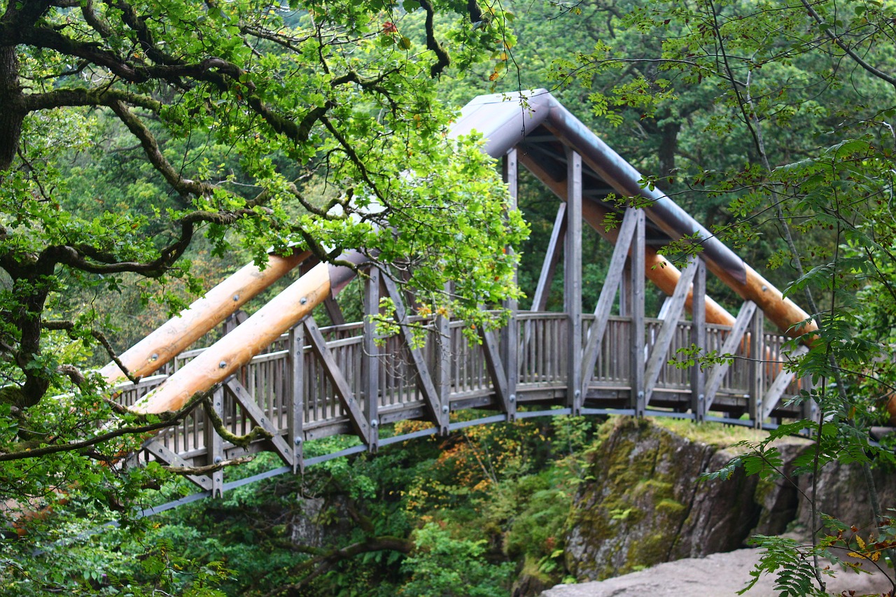 bridge nature wood free photo