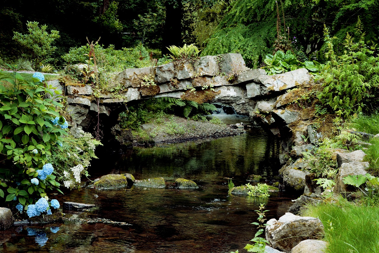 bridge summer river free photo