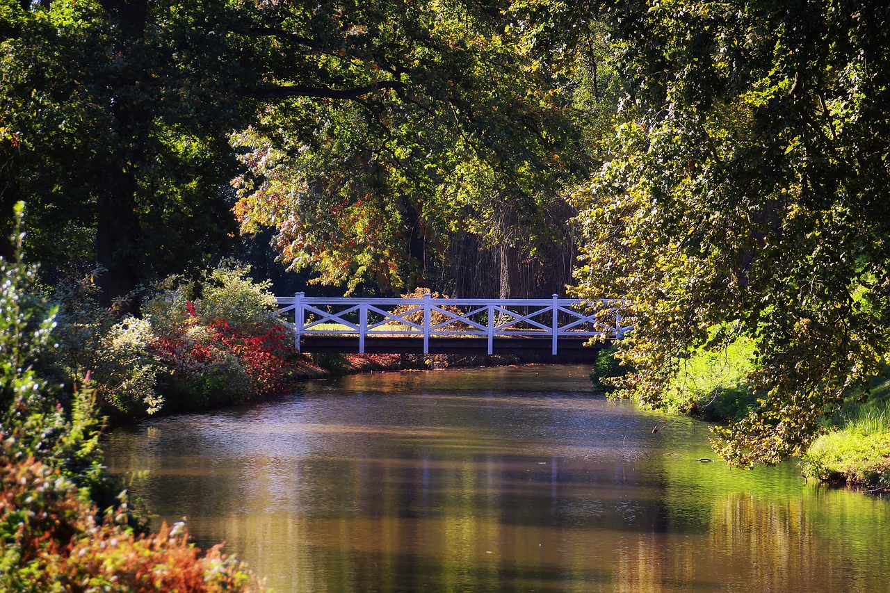 bridge river landscape free photo