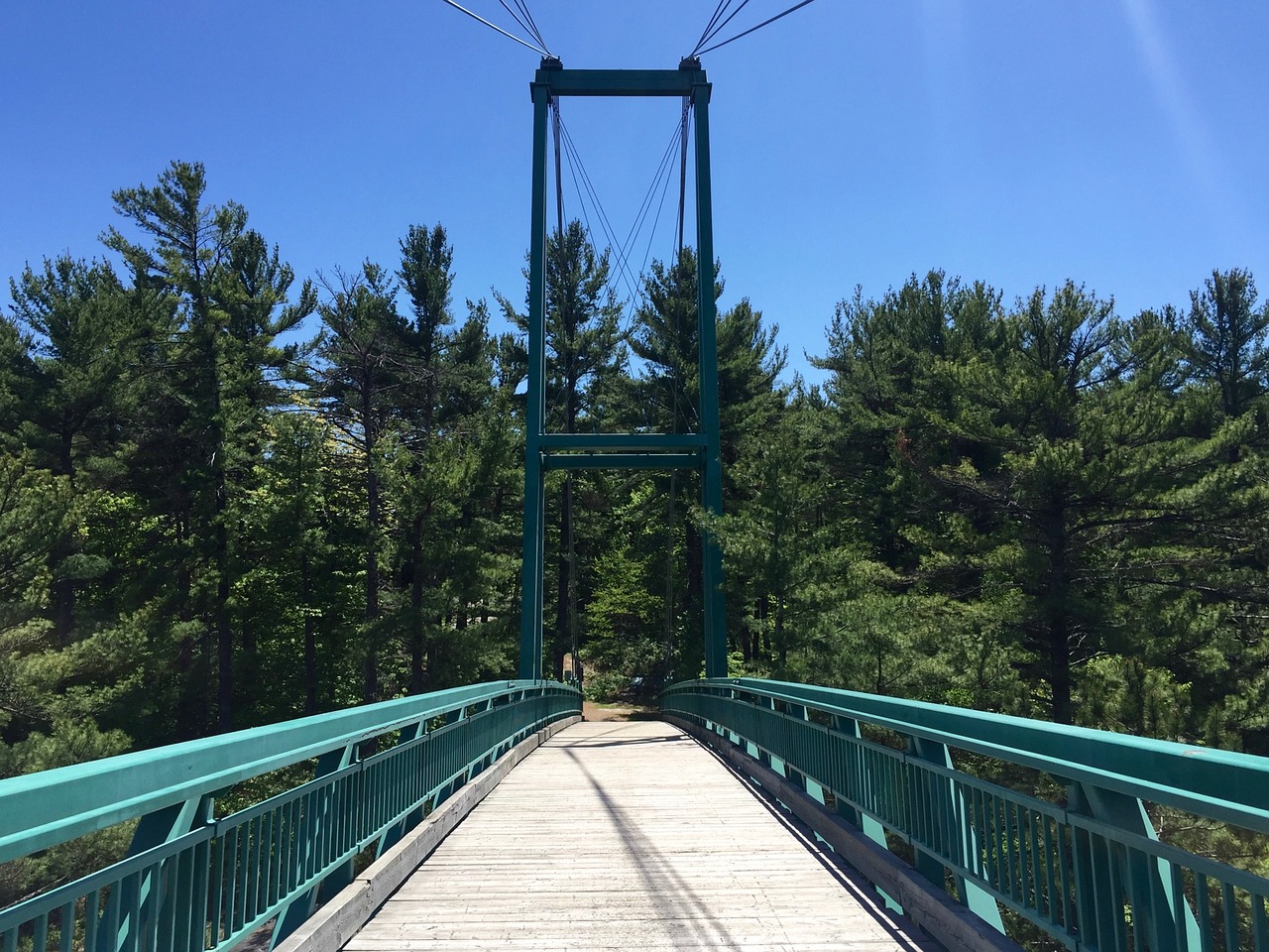 bridge path walkway free photo