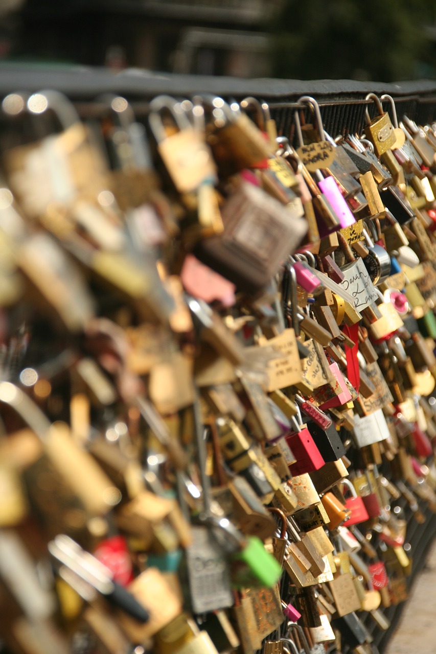 bridge love padlock paris free photo