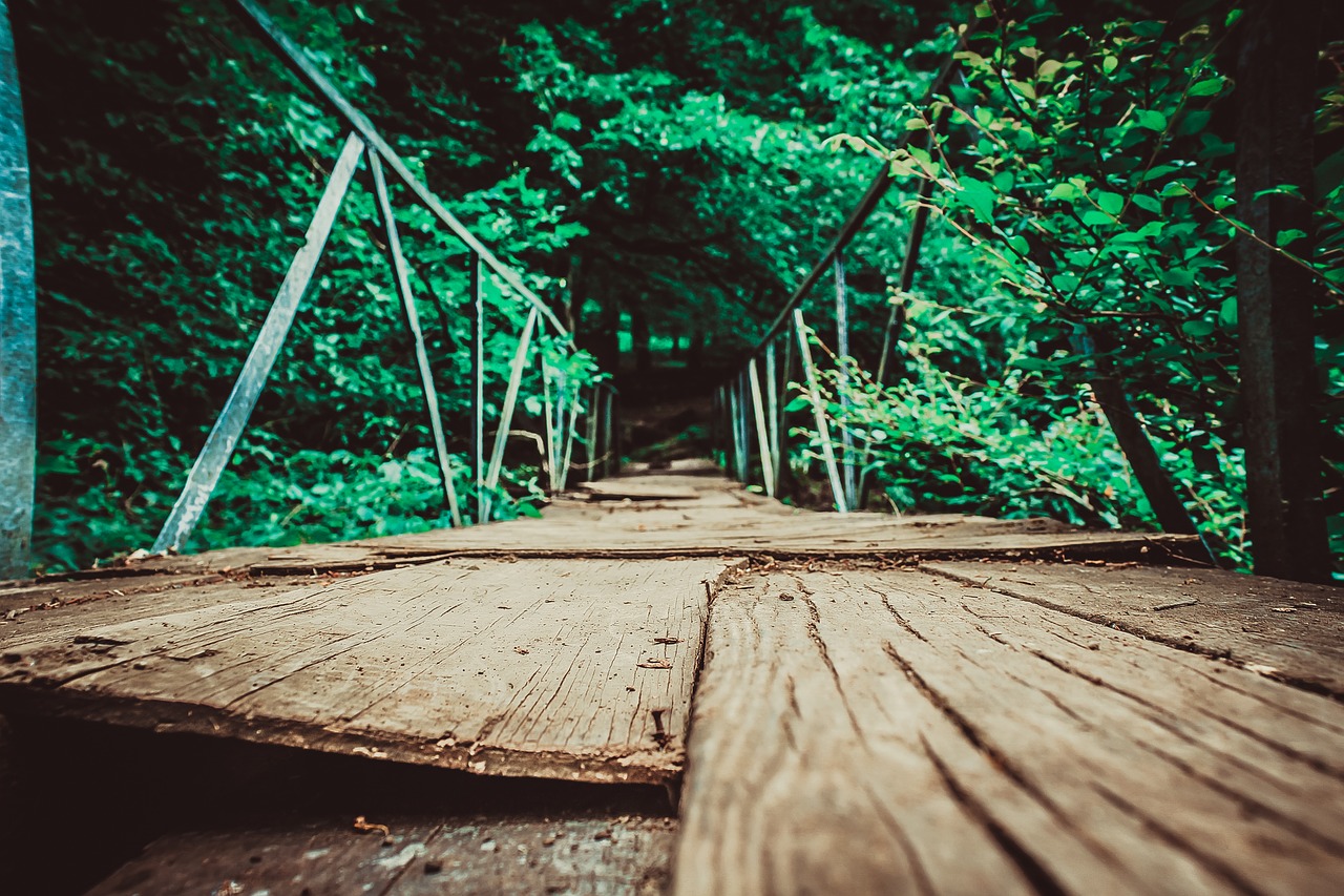 bridge color foot bridge free photo