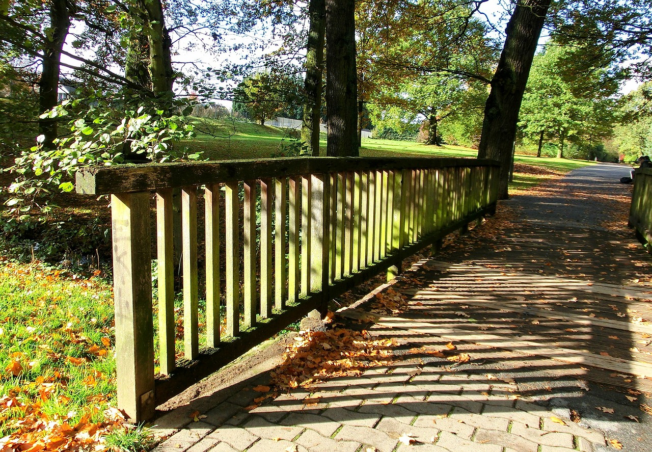 bridge forest nature free photo