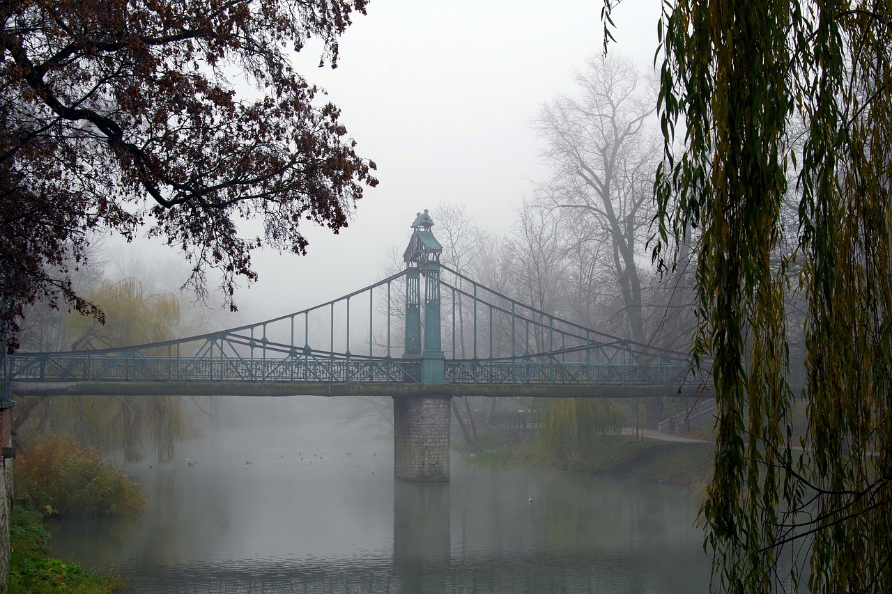 bridge river the fog free photo